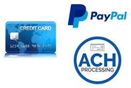 Online Payment Processing